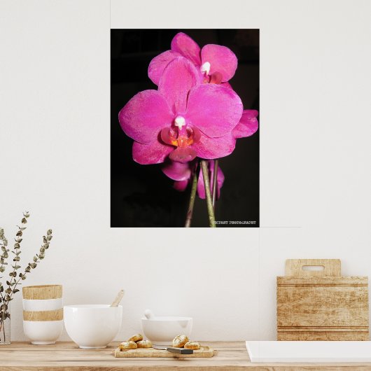 Poster de l'orchidée en fleurs (Cuisine)