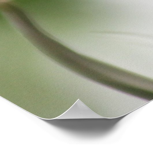 Poster de l'orchidée tropicale (Coin)