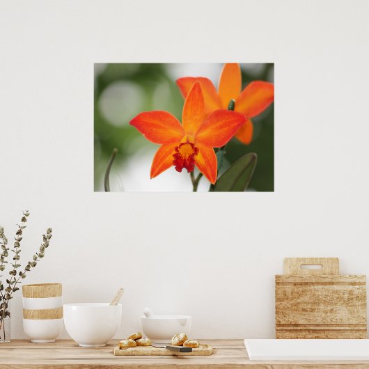 Poster de l'orchidée tropicale (Cuisine)