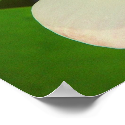 poster de lotus (Coin)