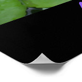 Poster de Lotus avec citations de Sai Baba (Coin)