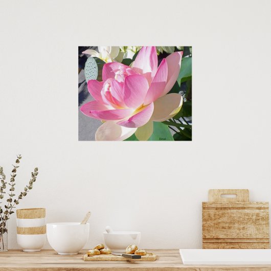 Poster de Lotus Flower (Cuisine)