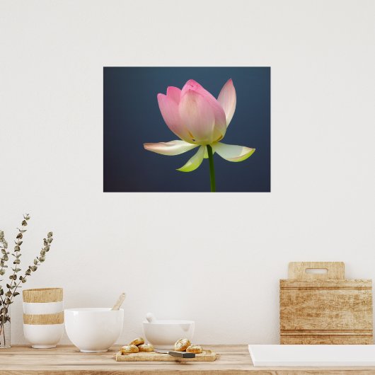 Poster de Lotus Flower (Cuisine)