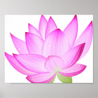 Poster de Lotus Flower