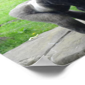 Poster de l'Ouest du gorille des terres basses #1 (Coin)