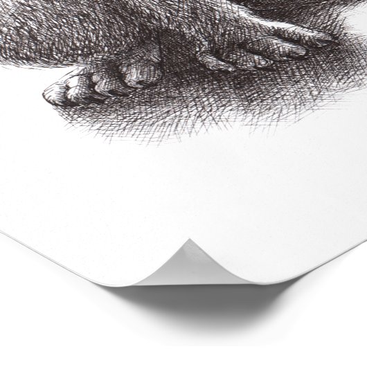 Poster de loup Howling (Coin)