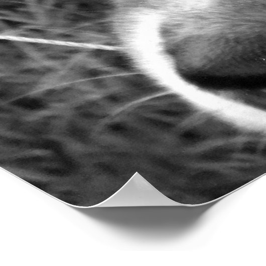 Poster de loup (noir et blanc) (Coin)