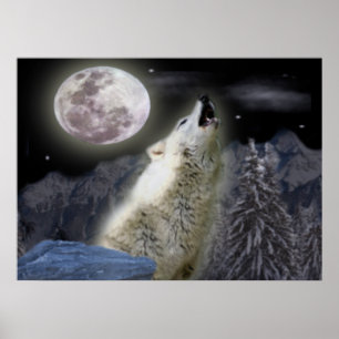 Poster de loup solitaire