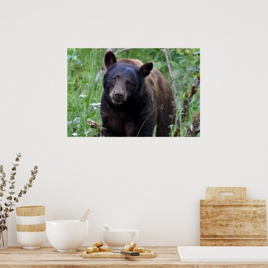 Poster de l'ours (Cuisine)
