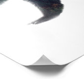 Poster de l'ours (Coin)