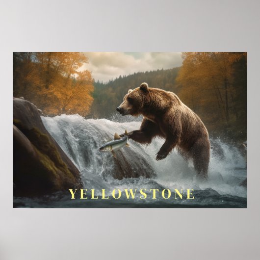 Poster de l'ours de Yellowstone (Devant)