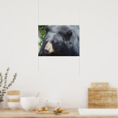 Poster de l'ours noir (Cuisine)
