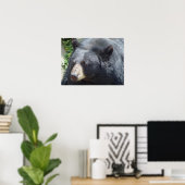 Poster de l'ours noir (Bureau à domicile)