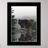 Poster de l'ours noir "INTO MIST" (Devant)