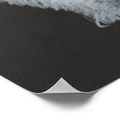 Poster de l'ours polaire (Coin)