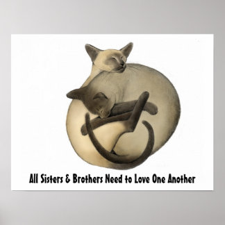 Poster de Love Cats