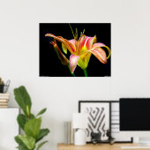 Poster de Lovely Tawny Daylily II (Bureau à domicile)