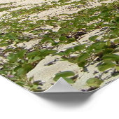 Poster de Lover's Beach, Nevis (Coin)