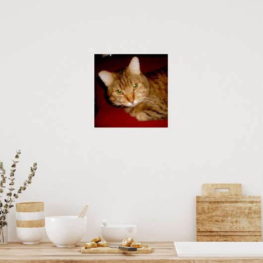 Poster de Lucy Kitty (Cuisine)