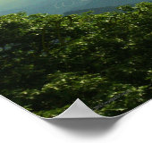 Poster de ma maison (Coin)