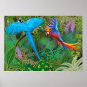 Poster de Macaw Jungle (Devant)