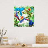 Poster de Macaw Jungle (Cuisine)