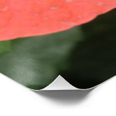 Poster de Macro Orange Hibiscus Fleur (Coin)