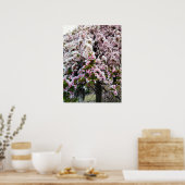 Poster de Magnolia japonaise PINK SPRING (Cuisine)