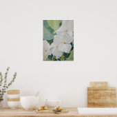 Poster de Magnolias (Cuisine)