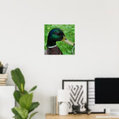 Poster de Mallard (Bureau à domicile)