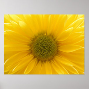 Poster de maman jaune