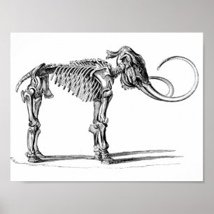 Poster de mammouth laineux