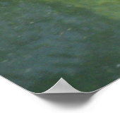 Poster de Manatee Smiles (Coin)