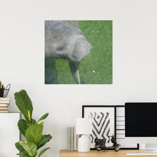Poster de Manatee Smiles (Bureau à domicile)
