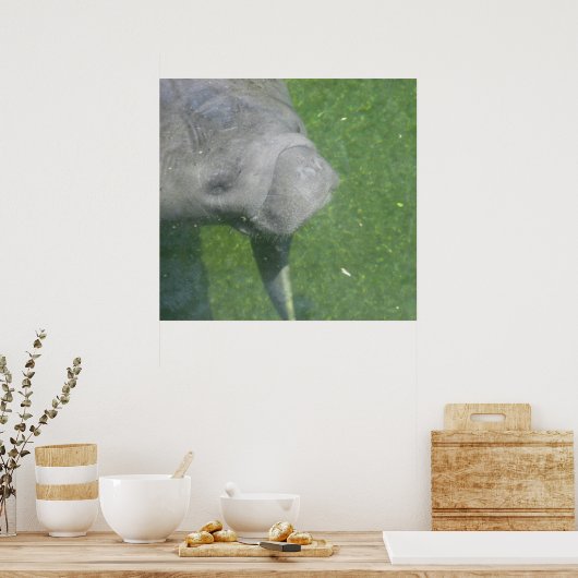 Poster de Manatee Smiles (Cuisine)