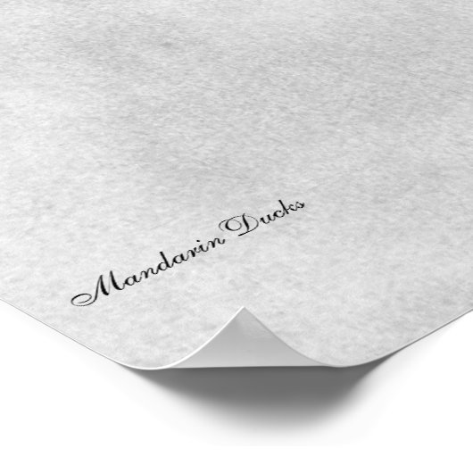 Poster de Mandarin Ducks (Coin)