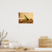 Poster de Mantis (Cuisine)