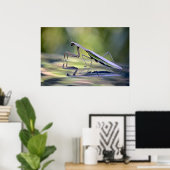 Poster de Mantis (Bureau à domicile)