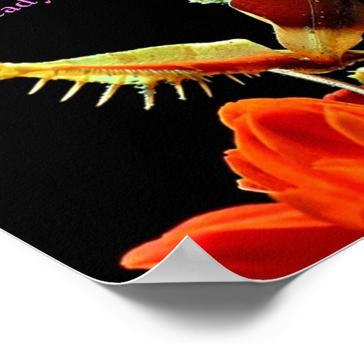 Poster de Mantis & Fleurs de prière brillant & bea (Coin)