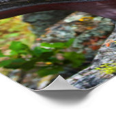 Poster de Manzanita (Coin)