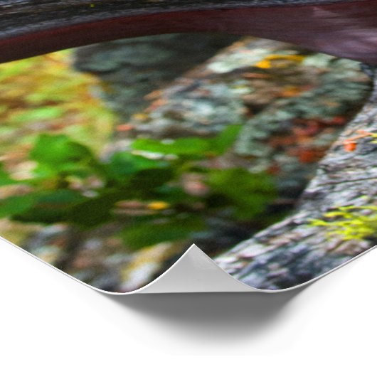 Poster de Manzanita (Coin)