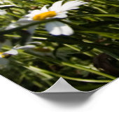 Poster de marais/imprimé de toile (Coin)