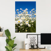 Poster de marais/imprimé de toile (Bureau à domicile)