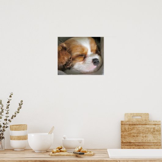 Poster de marionnette Cavalier King Charles Spanie (Cuisine)