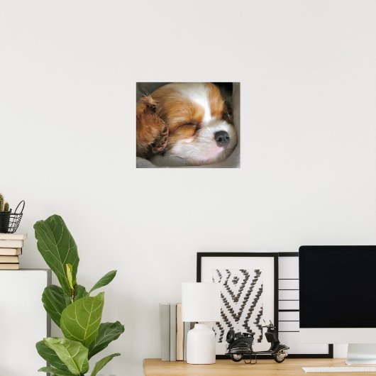 Poster de marionnette Cavalier King Charles Spanie (Bureau à domicile)