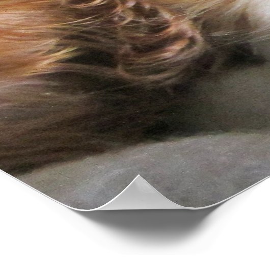 Poster de marionnette Cavalier King Charles Spanie (Coin)