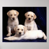 Poster de marionnettes