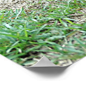 Poster de marionnettes (Coin)