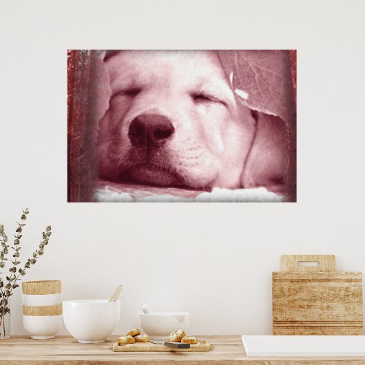 Poster de marionnettes couché (Cuisine)