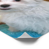 Poster de marionnettes maltaises (Coin)